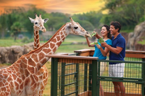 Busch Gardens - Planettour