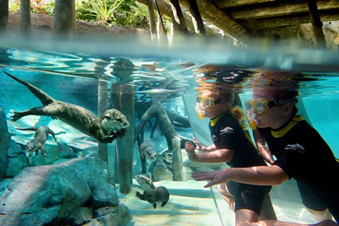 Discovery Cove - Planettour