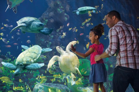 Sea World - Planettour