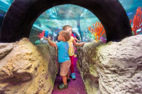 Sea Life Aquarium - Planettour