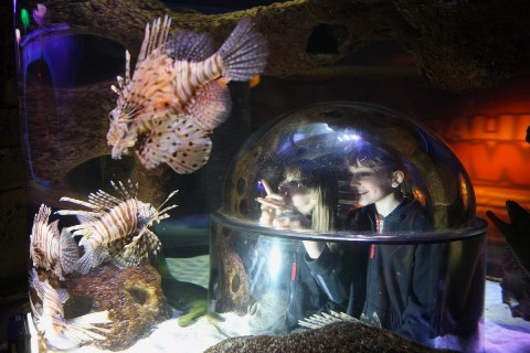 SeaLife - Planettour